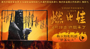 岛国视频在线免费观看