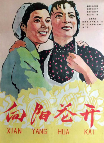 婷婷免费视频